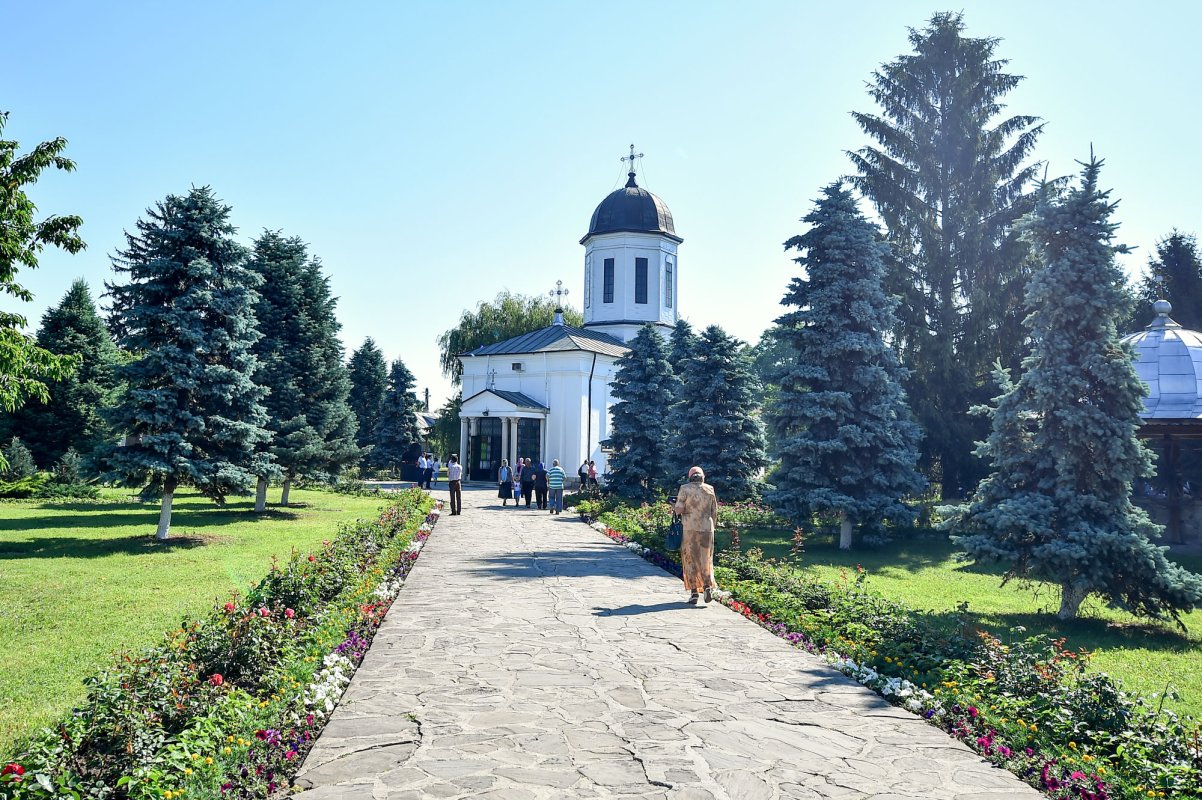 Cum ne petrecem viața 22029