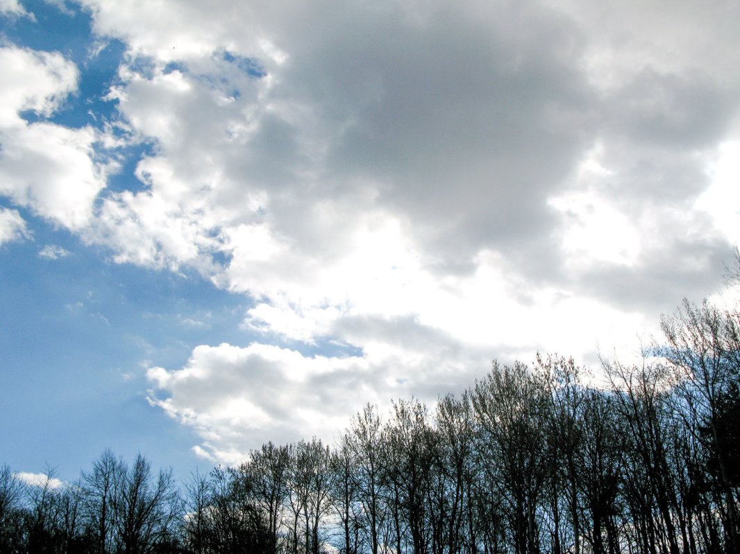 Deșertul anonimatului 22032