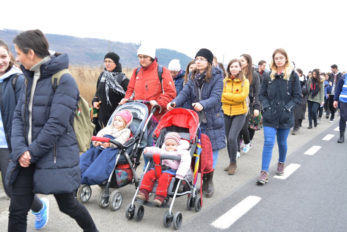 Sute de pelerini de toate vârstele, pe jos de la Iclod la Mănăstirea Nicula 21697