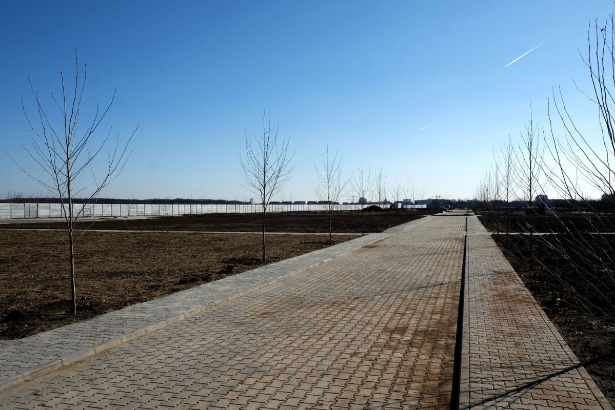 Primul cimitir eparhial al Arhiepiscopiei Bucureştilor 21538