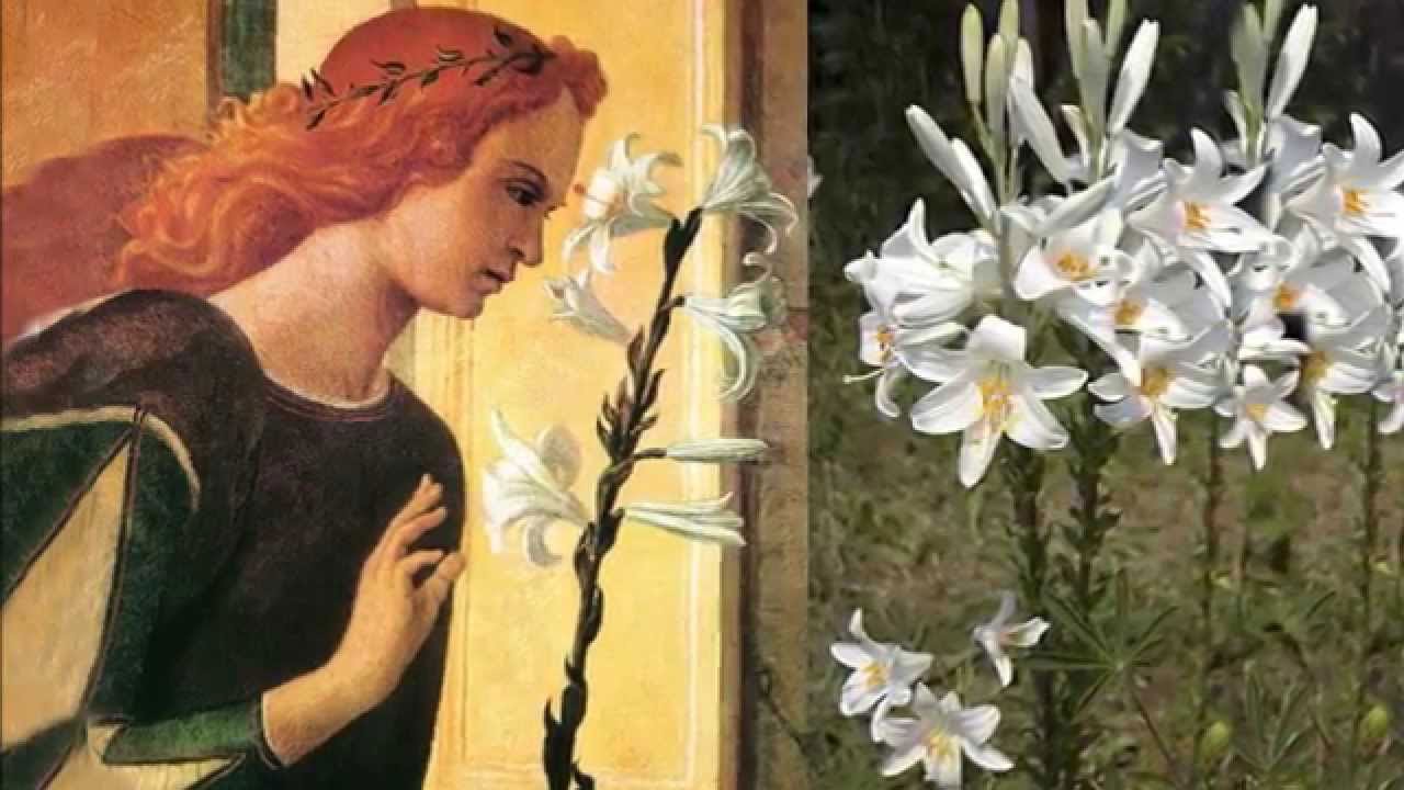 Fecioria sau calea superiorității 21345