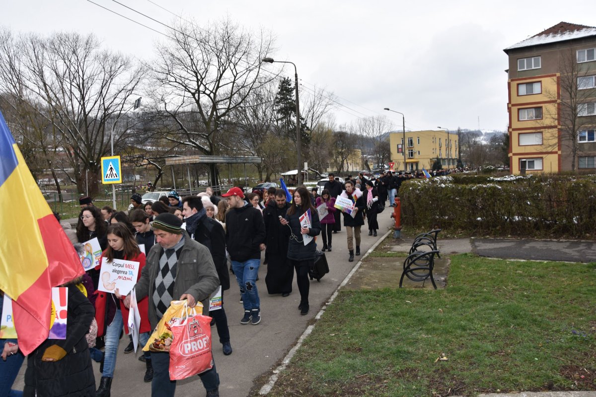 Marșul pentru viață în Mitropolia Banatului 21323