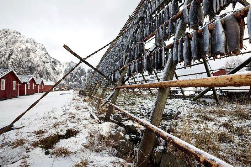 Peștele afumat 21346