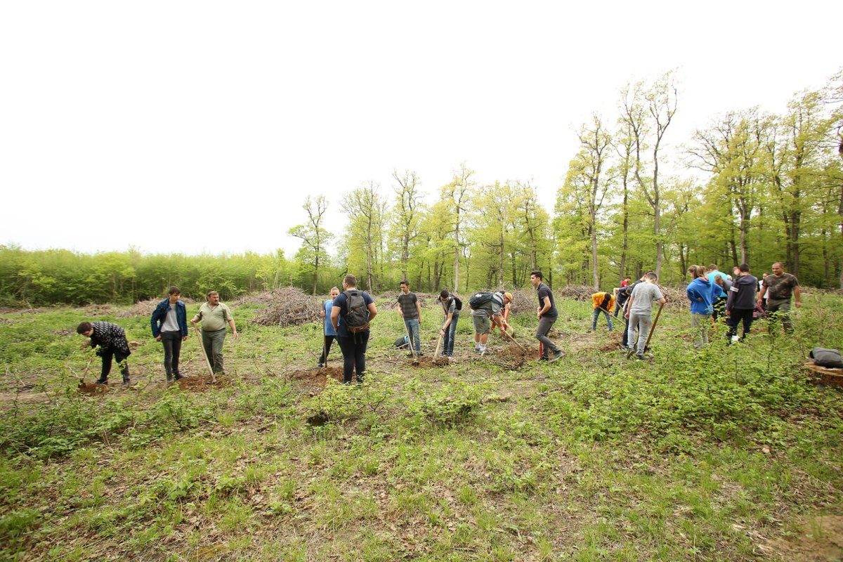 Campania „Protejăm mediul, trăim sănătos”, la Sibiu 19973