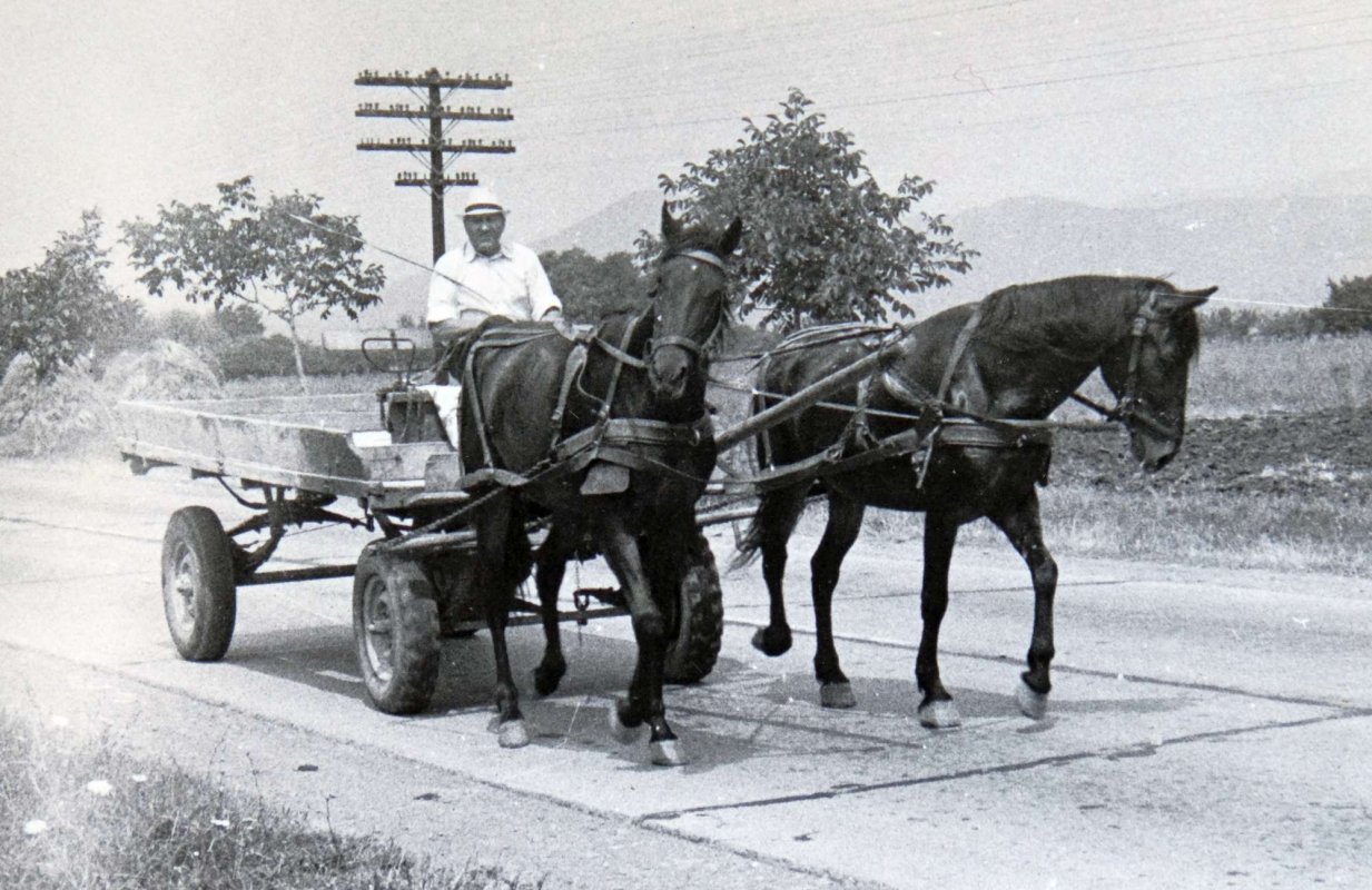 Povestea Alexandrei Yarovaia și Basarabia secolului XX 20114