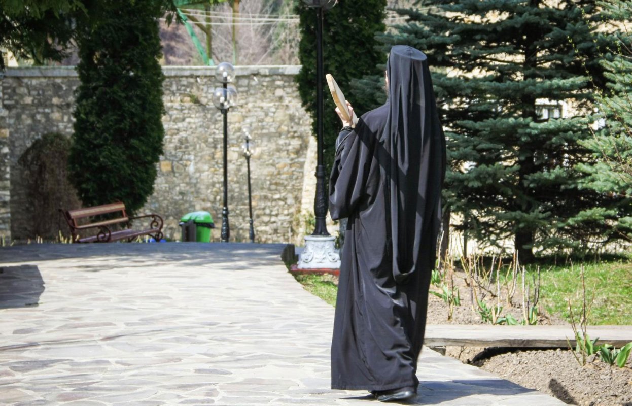 Ceea ce sufletul dorește 19621