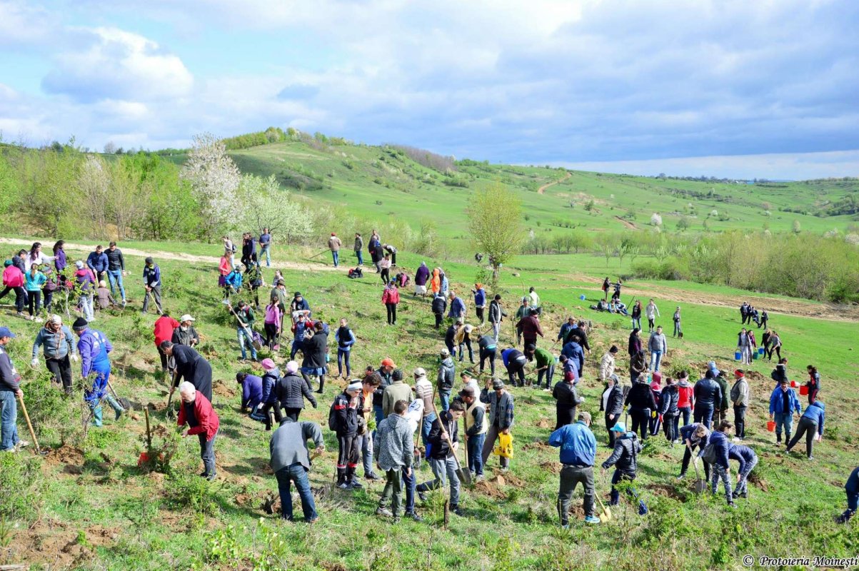 Proiectul eparhial „Preţuieşte viaţa, preţuieşte natura“ 19275
