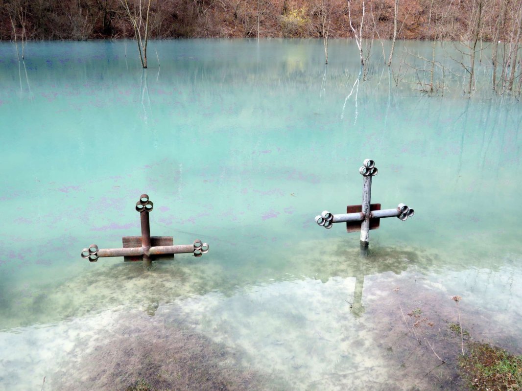 „Atunci am hotărât să ne unim pe veșnicie cu Ţara” 19383