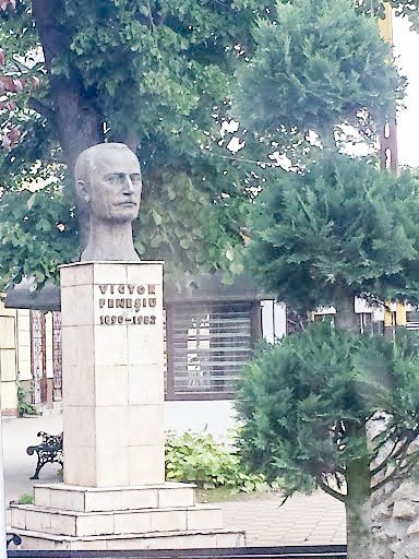 Banatul de Nord-Est și Marea Unire 19227