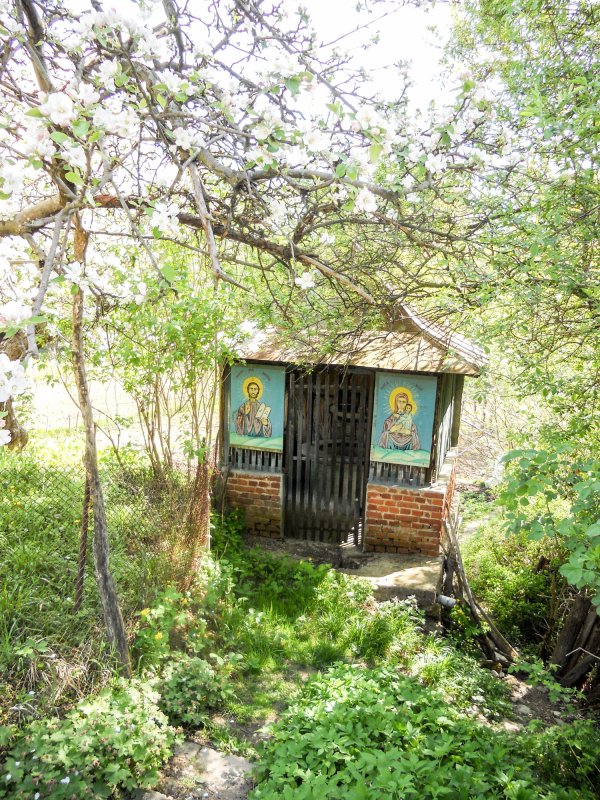 Slujirea aproapelui într-o parohie de țară 19236