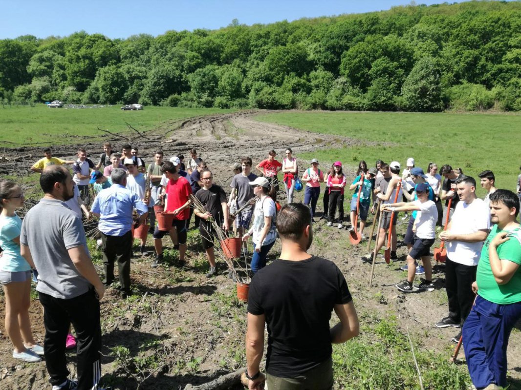 Acţiune de voluntariat cu tinerii, la Sebeş 19078