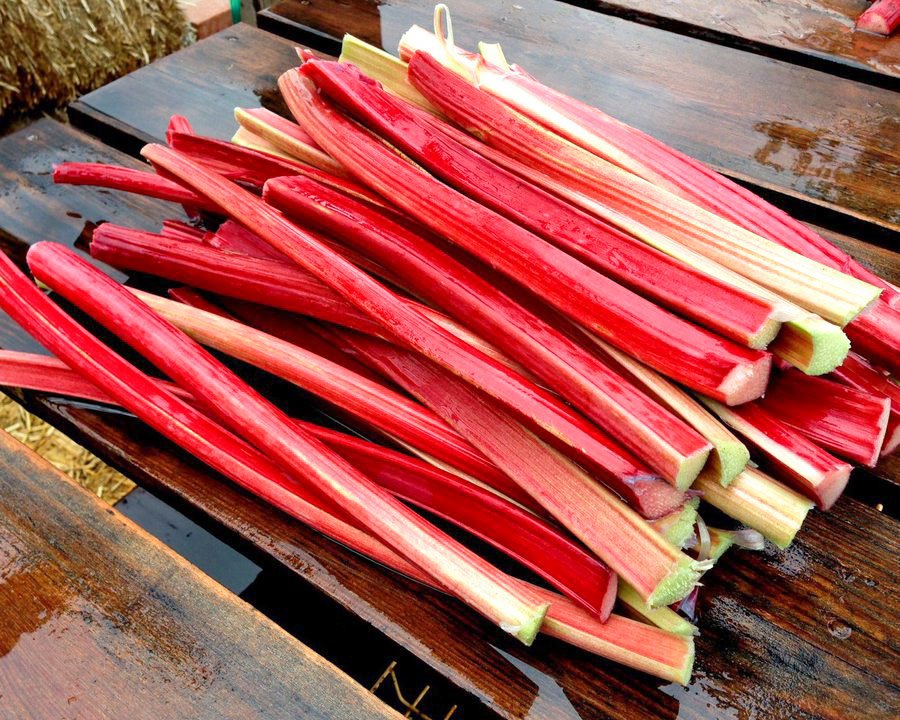 Rubarba, ideală pentru tratarea afecțiunilor renale 18977