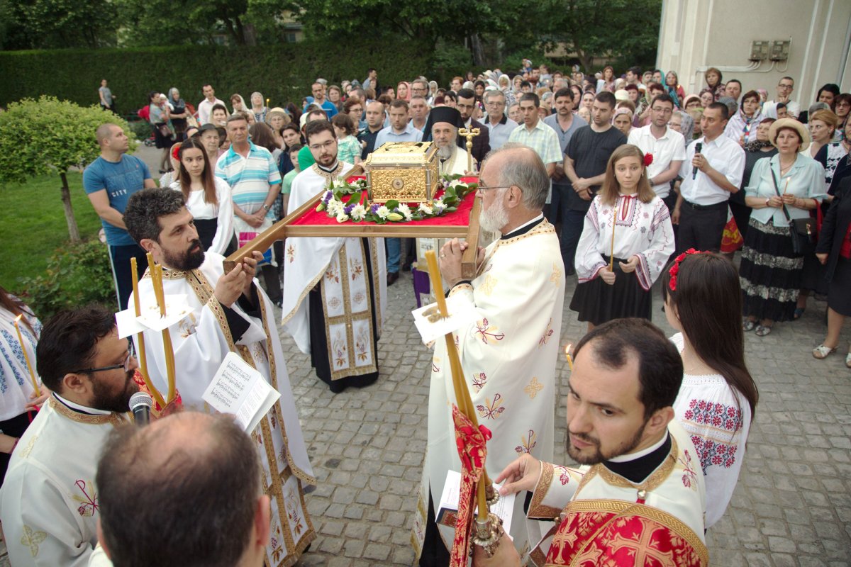 Sfântul Efrem cel Nou prăznuit la Dunărea de Jos 18970