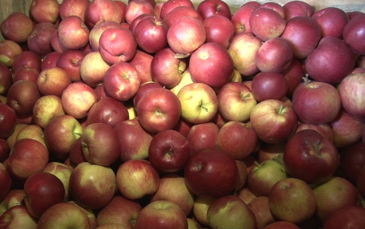 Fructele și legumele românești, printre cele mai `curate~ din UE 18640