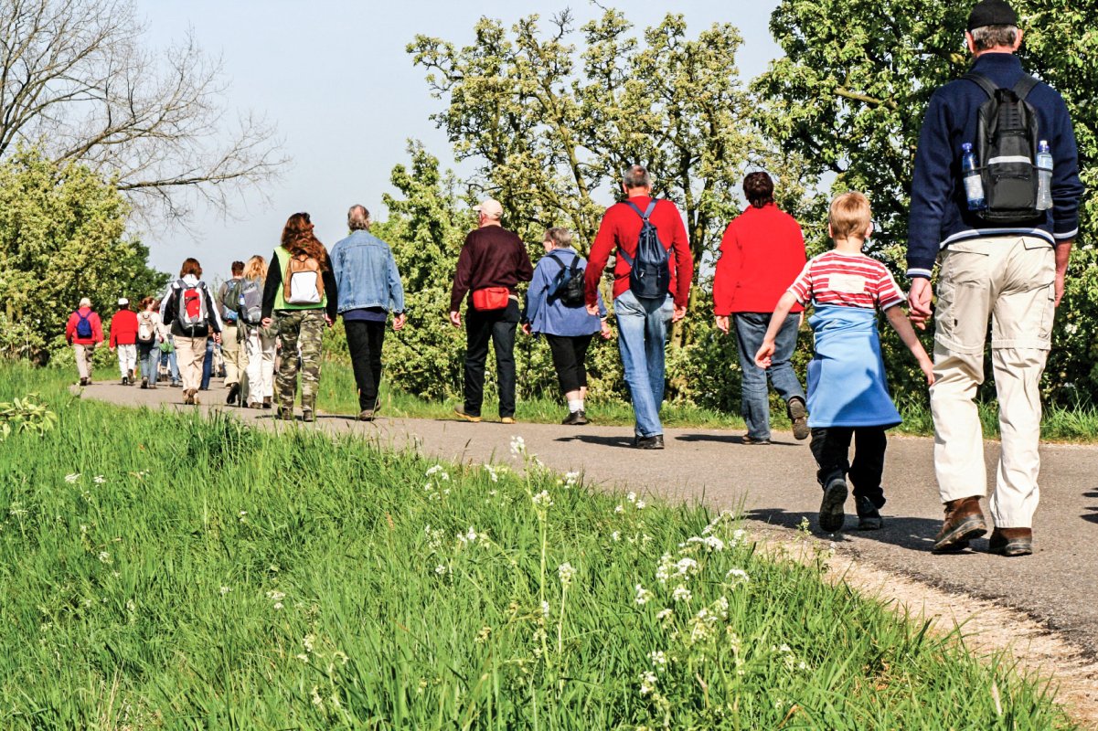 Unde se decide cotidianul? 18088