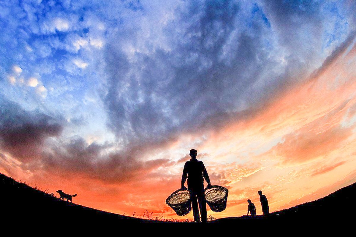 Omul iarăși în criză 17281