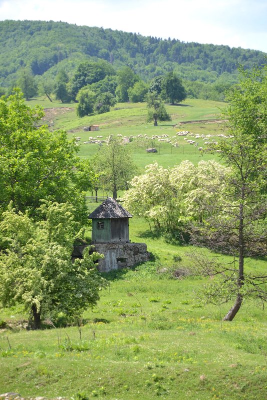 Pe Valea Cașinului s-a deschis drumul României Mari 17250