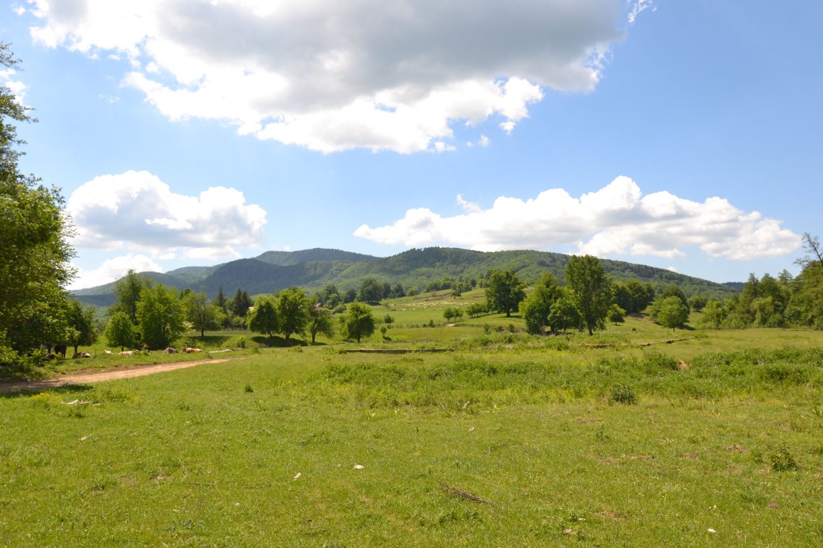 Pe Valea Cașinului s-a deschis drumul României Mari 17256