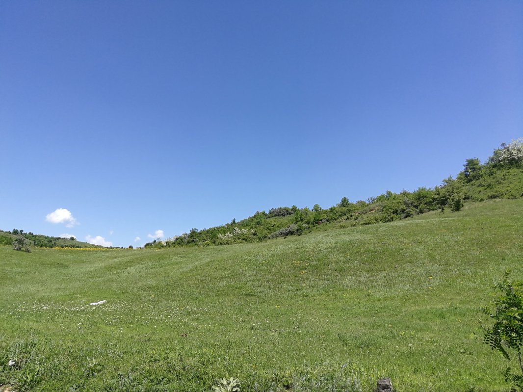 Pe Valea Cașinului s-a deschis drumul României Mari 17258