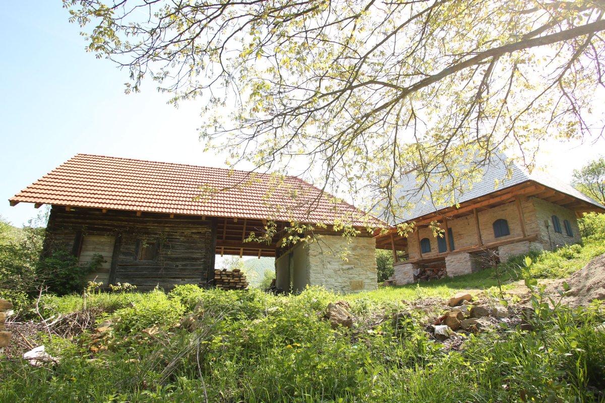 Băcâia, satul de basm de pe Cheile Cibului 17070