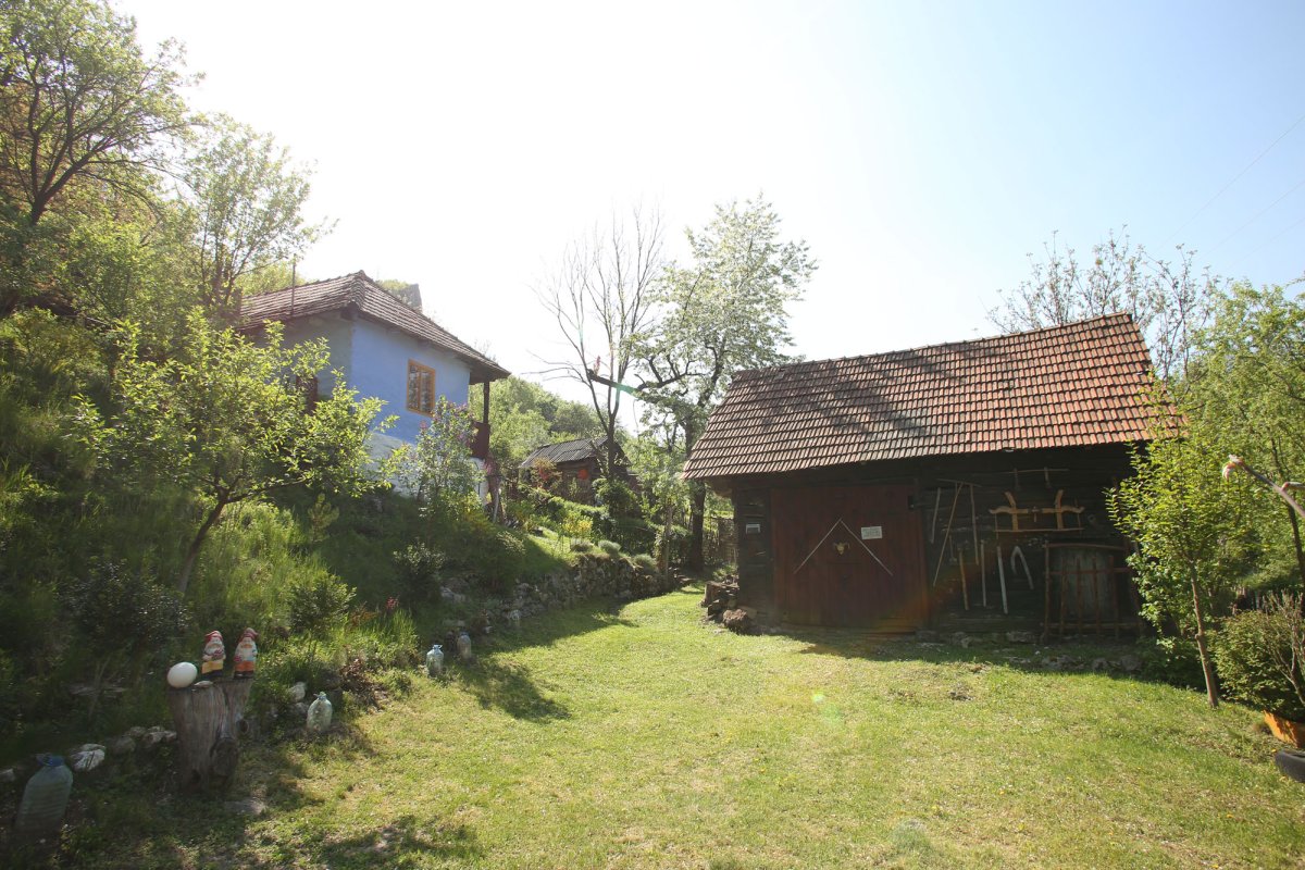 Băcâia, satul de basm de pe Cheile Cibului 17071