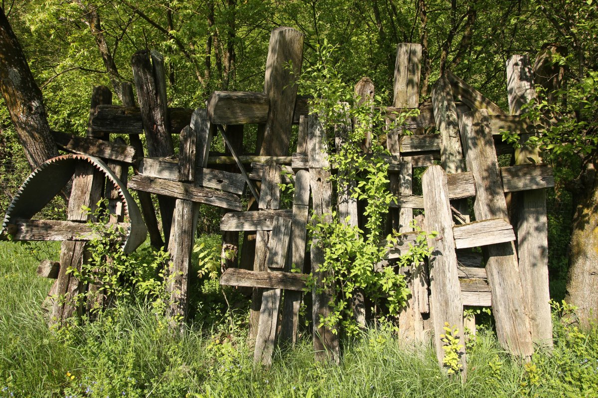 Băcâia, satul de basm de pe Cheile Cibului 17077