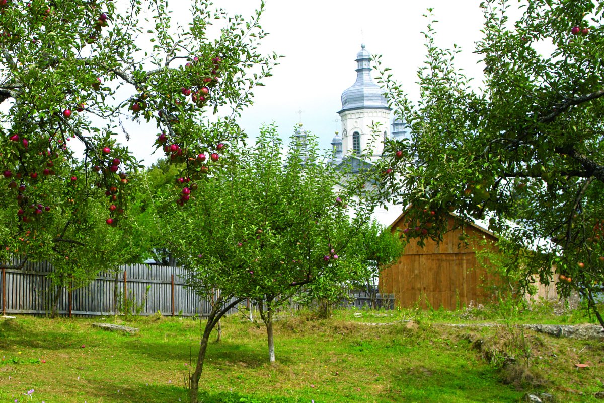 Vovidenia, istorie, frumuseţe şi misiune 17097