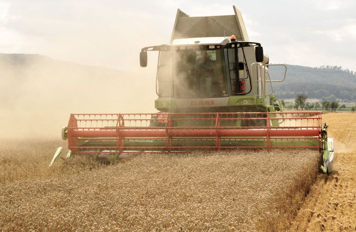 Subvenţii crescute pentru fermele mici şi medii 17030