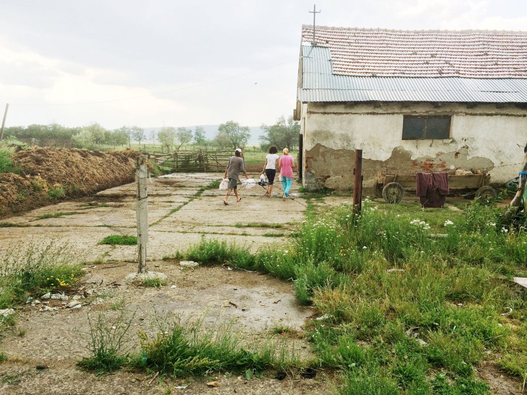 Nuntă în dar pentru doi tineri săraci din Veneţia de Jos, Braşov 16914