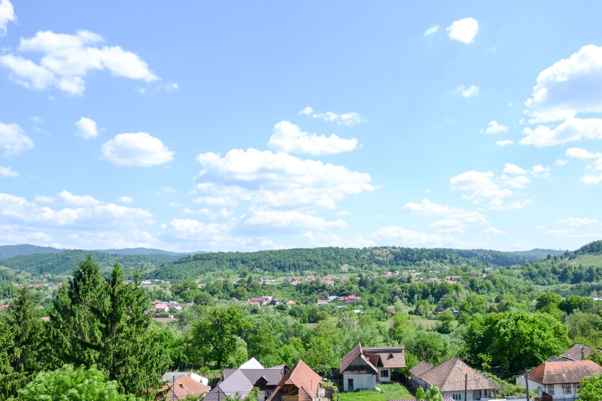 Biserica reginei 16648