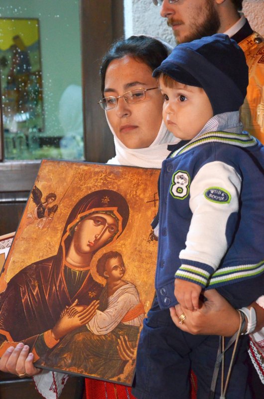 Terapia blândeții 16449