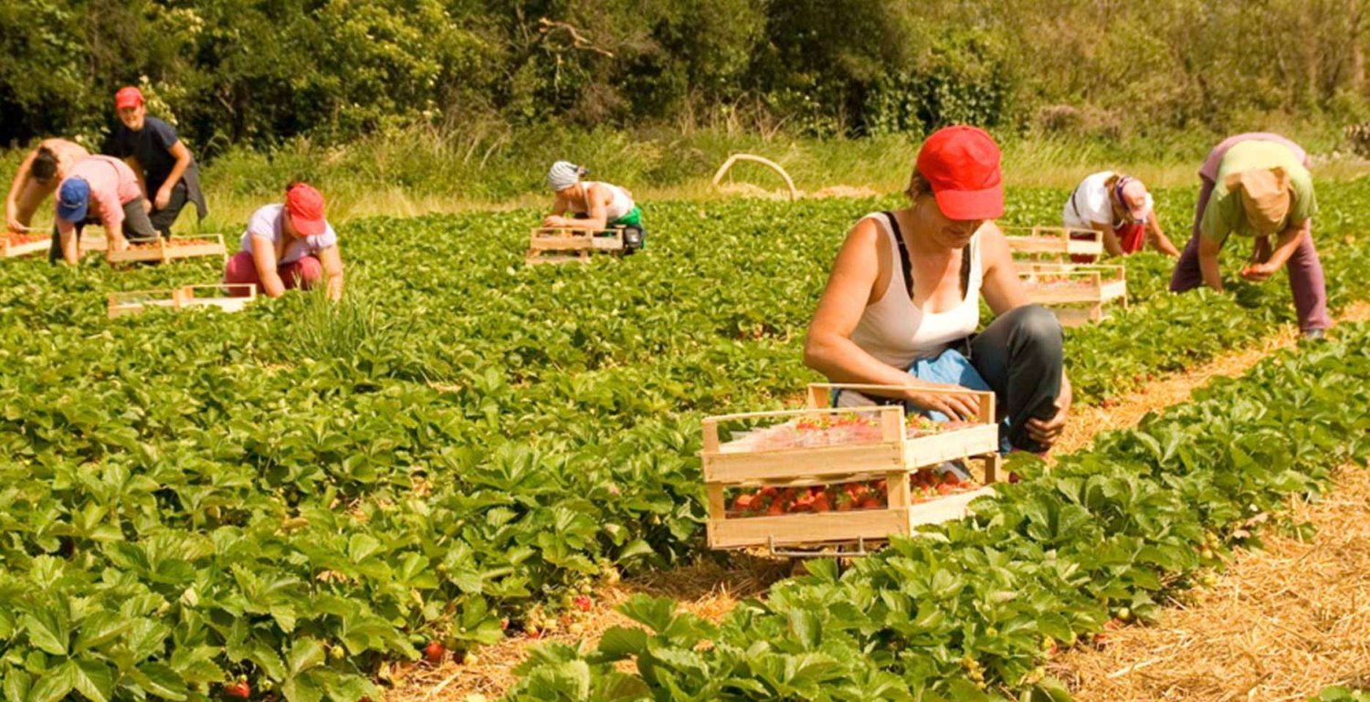 Mai multe subvenţii pentru angajare 16200
