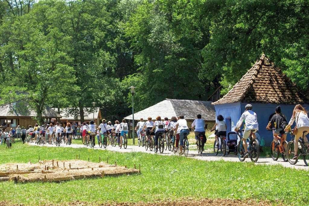 Ziua Universală a Iei, ediţia  a V-a, la Muzeul ASTRA 16099