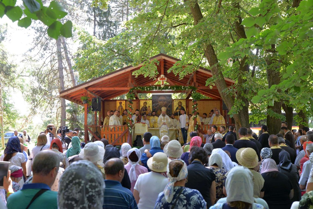 Sfântul Grigorie Dascălul sărbătorit la Căldărușani 16054