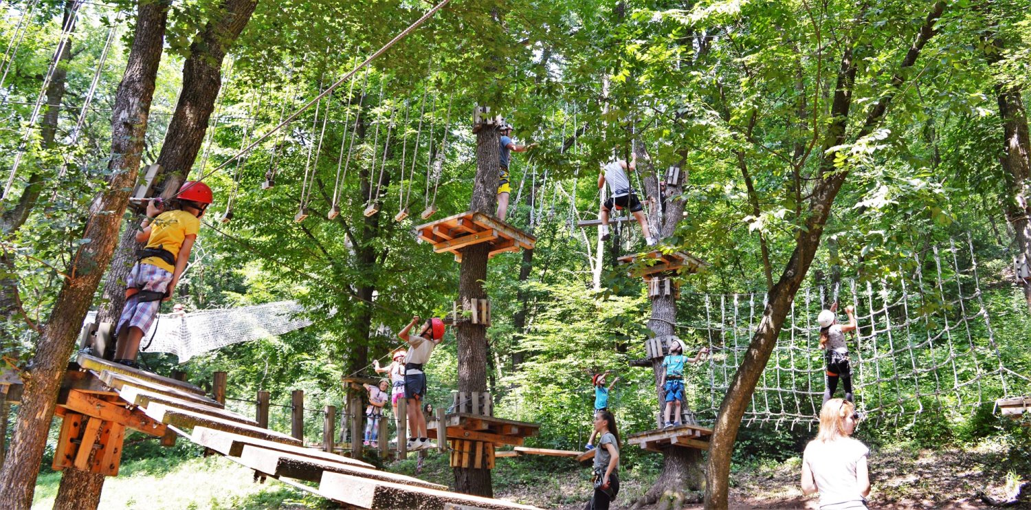 Activitate extrașcolară cu copii ocrotiți de Filantropia Ortodoxă Alba Iulia 15956