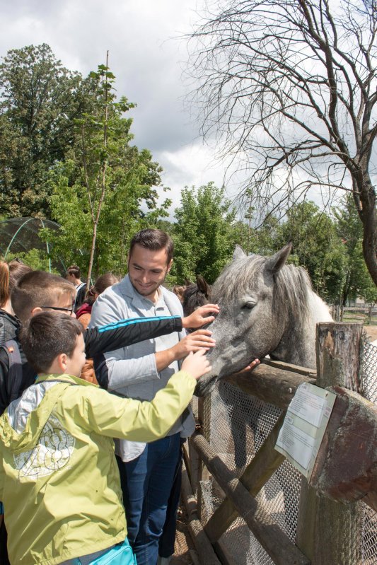 Excursie pentru copiii Parohiei Viile Fabric 15774