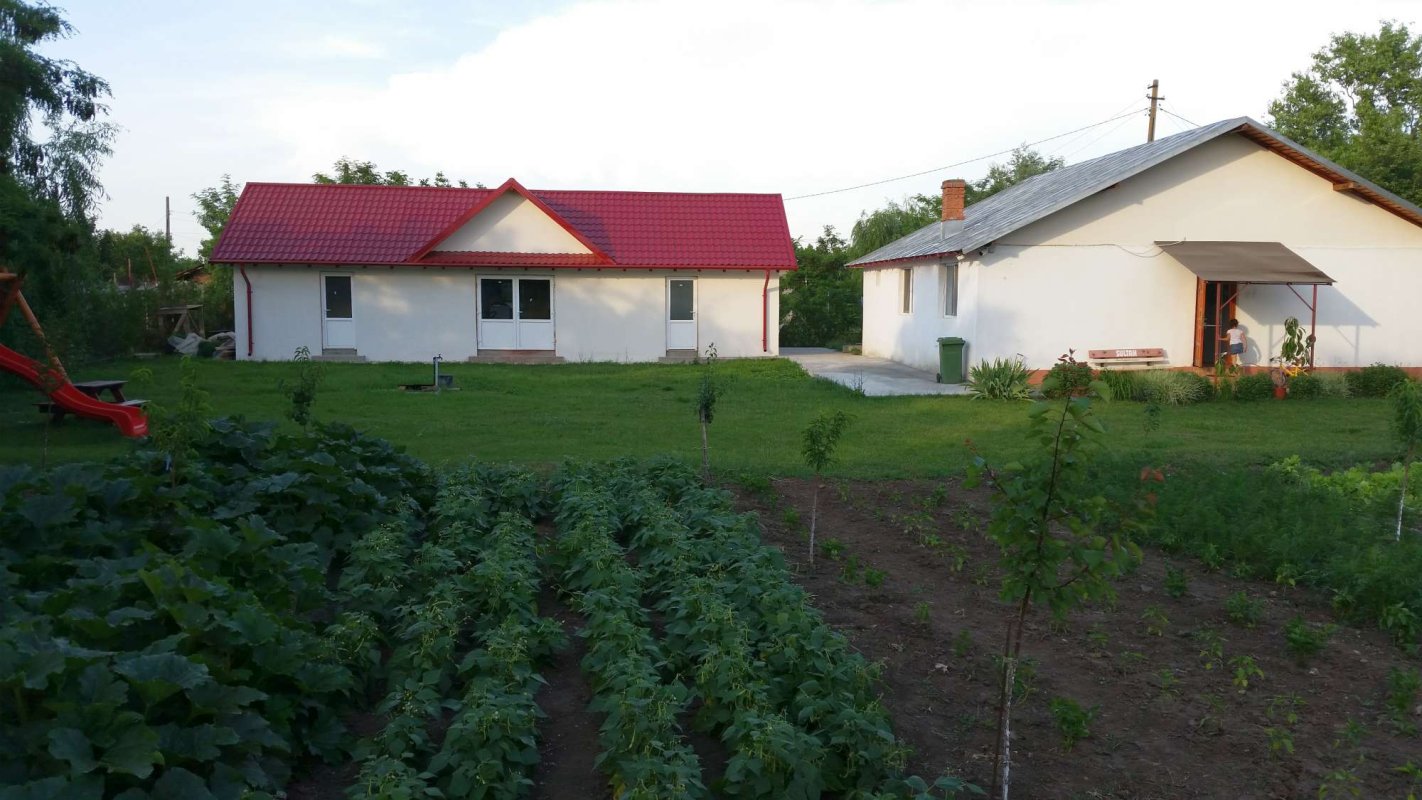 Biserica și grija față de victimele violenței în familie 15820