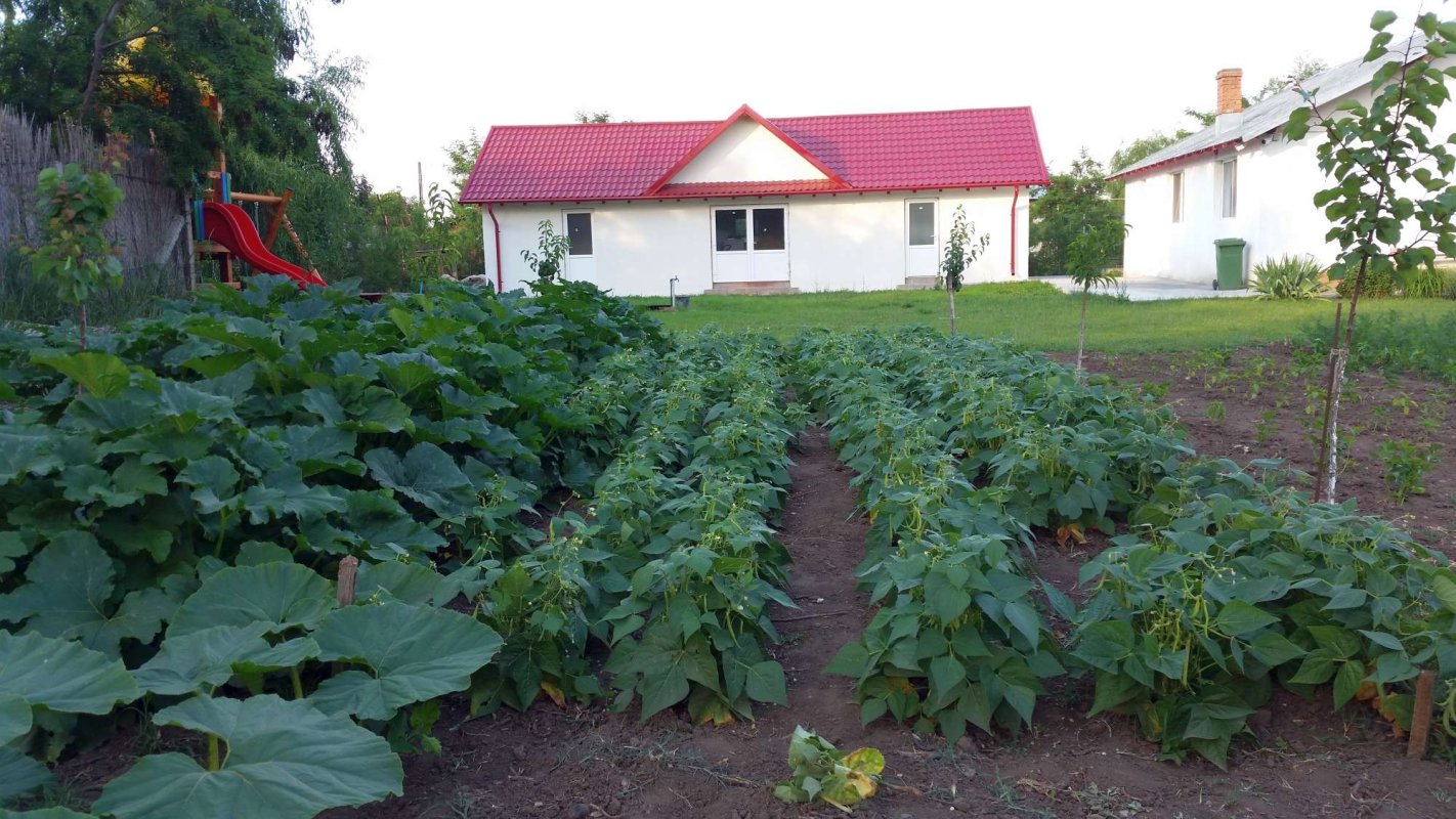 Biserica și grija față de victimele violenței în familie 15824