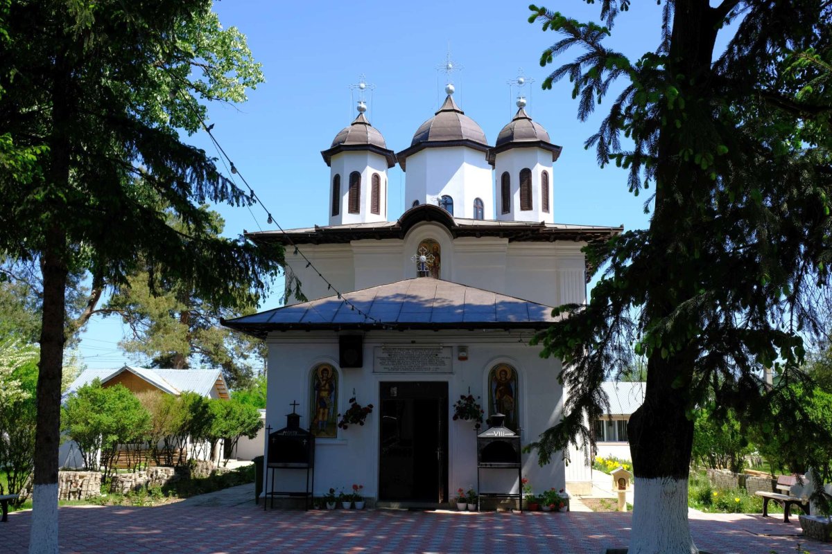 Biserica și grija față de victimele violenței în familie 15825