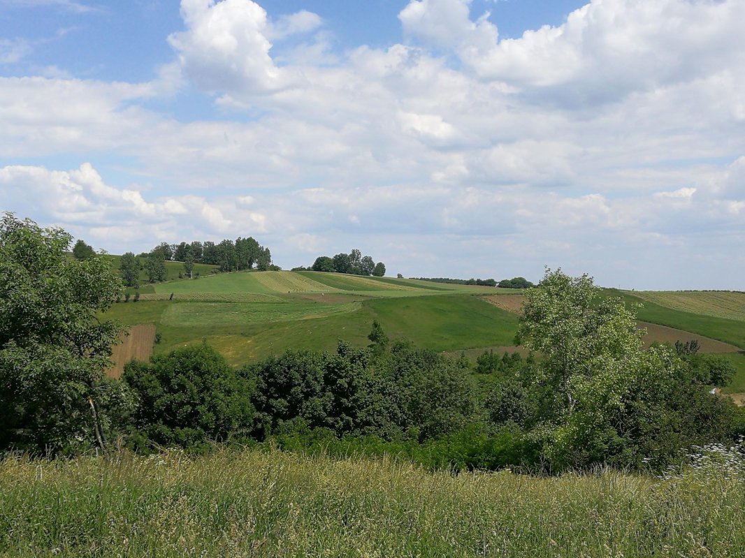 Bisericile boierului Anastasie Bașotă 15180