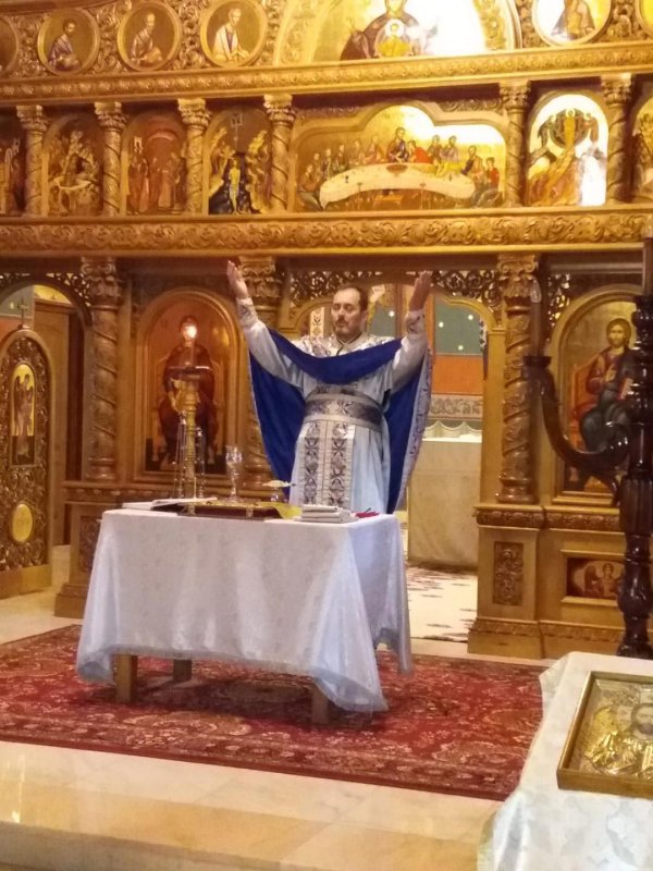 Program social pentru cei cu deficiențe de auz și vorbire 14787