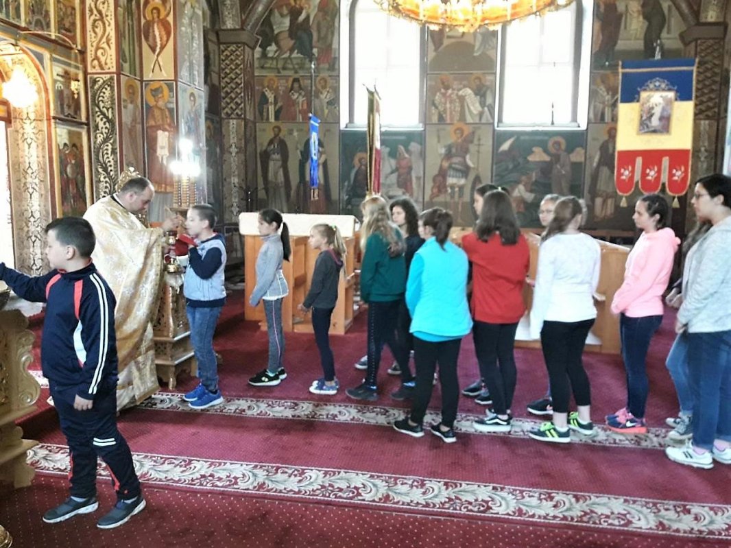 Tabără pentru 25 de copii și tineri la Vadu Moților, în Munții Apuseni 14767