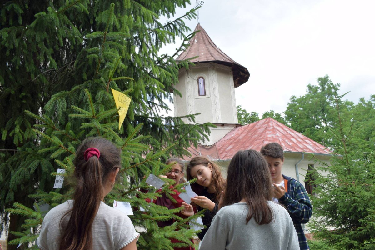 Jurnal de copilărie la Bohotin 14653