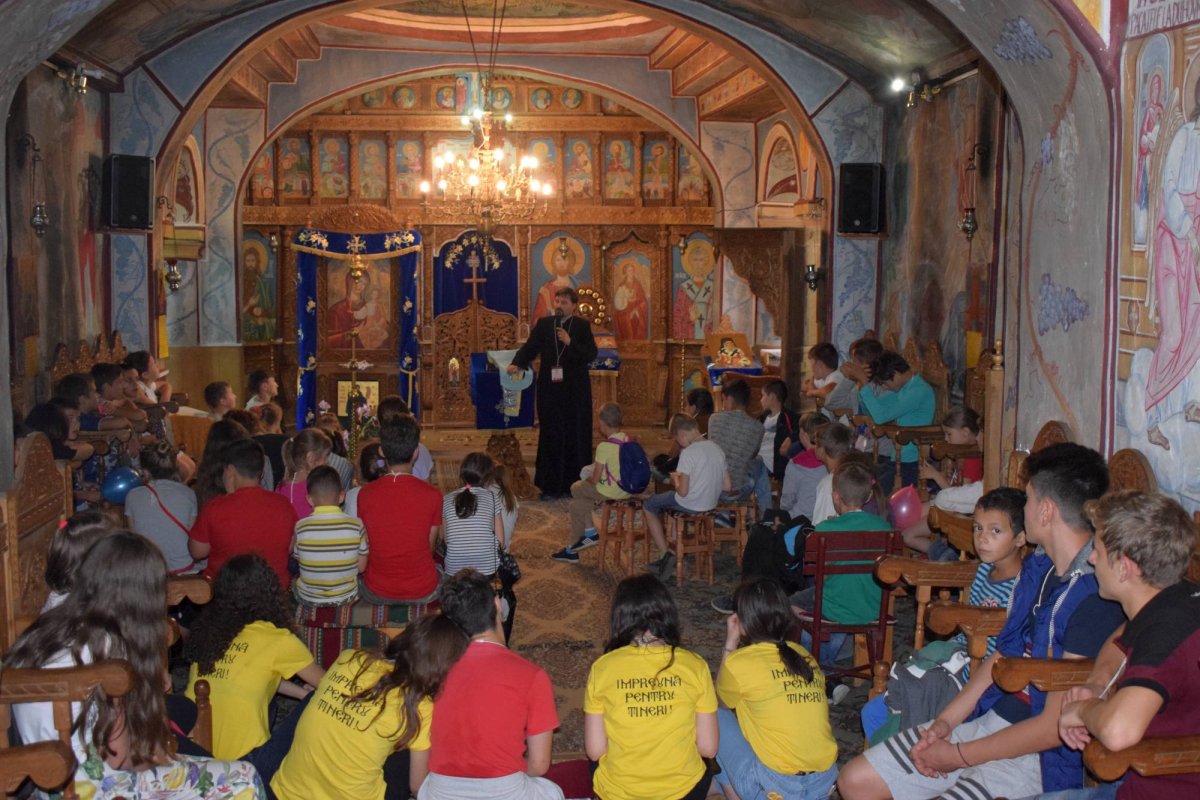 Jurnal de copilărie la Bohotin 14657