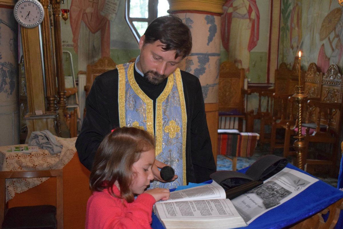 Jurnal de copilărie la Bohotin 14658