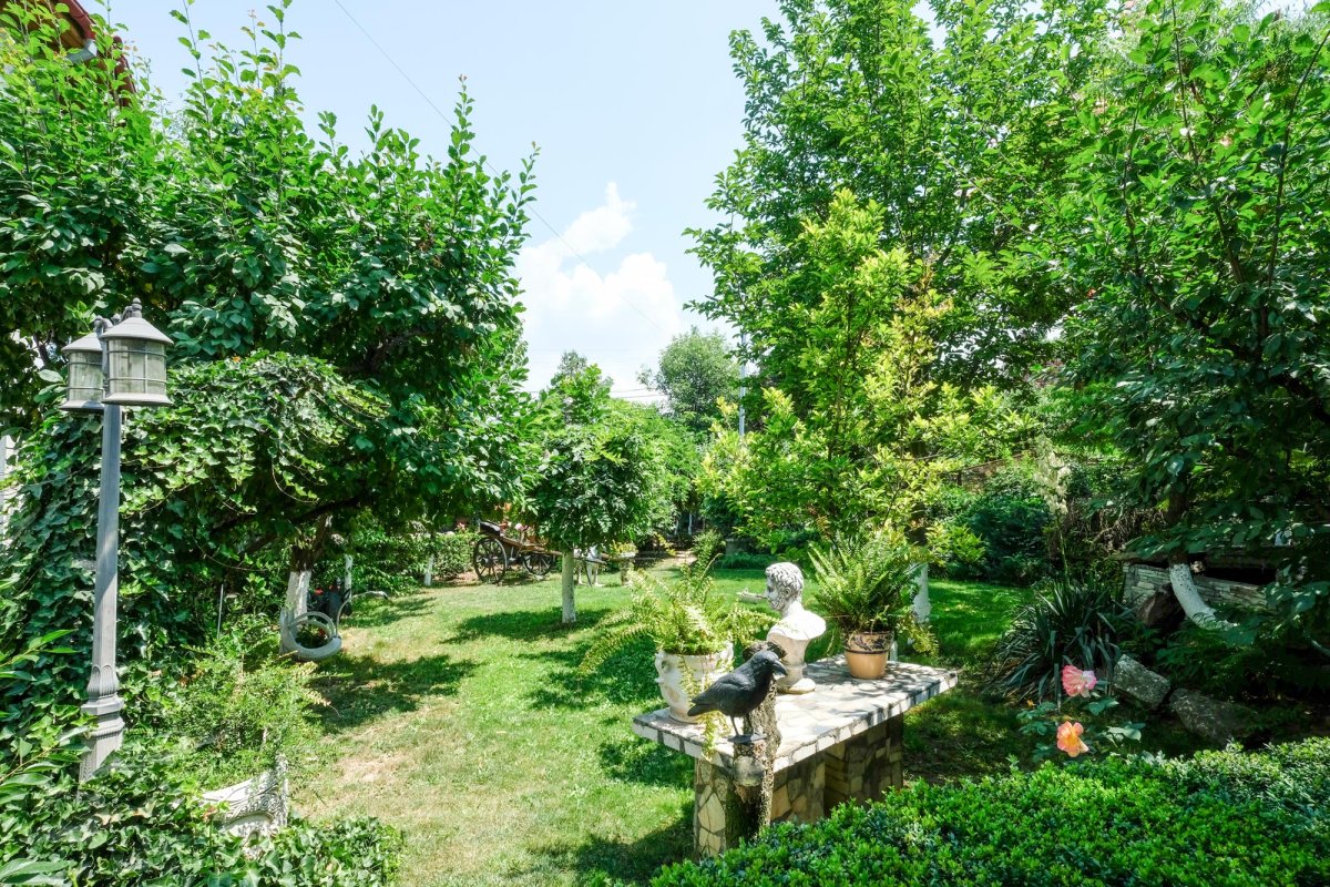 Cum s-a ridicat ansamblul parohial de la Roşu 14644