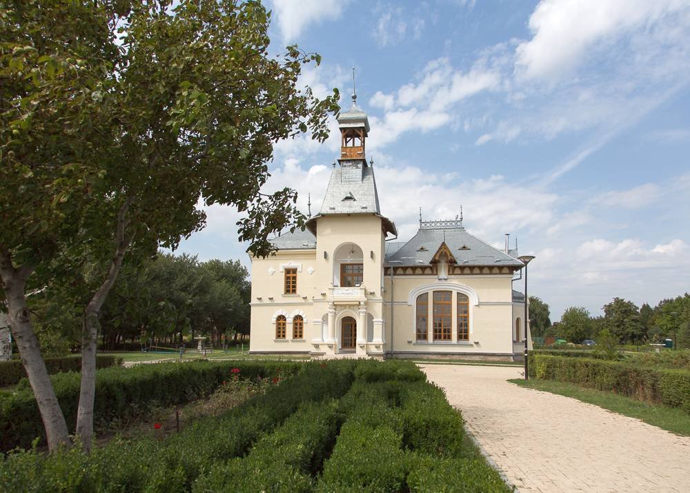 Vara lui 1918: lipsea un consens în privința țării 14939