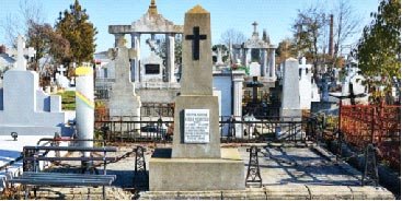 Aviatorul Vasile Niculescu și „Zborul Marii Uniri” 14473