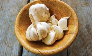 Usturoiul, bactericid și un antibiotic foarte puternic 14488