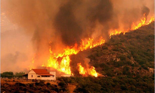 Mesaj de compasiune şi solidaritate cu victimele incendiilor din Grecia 13888